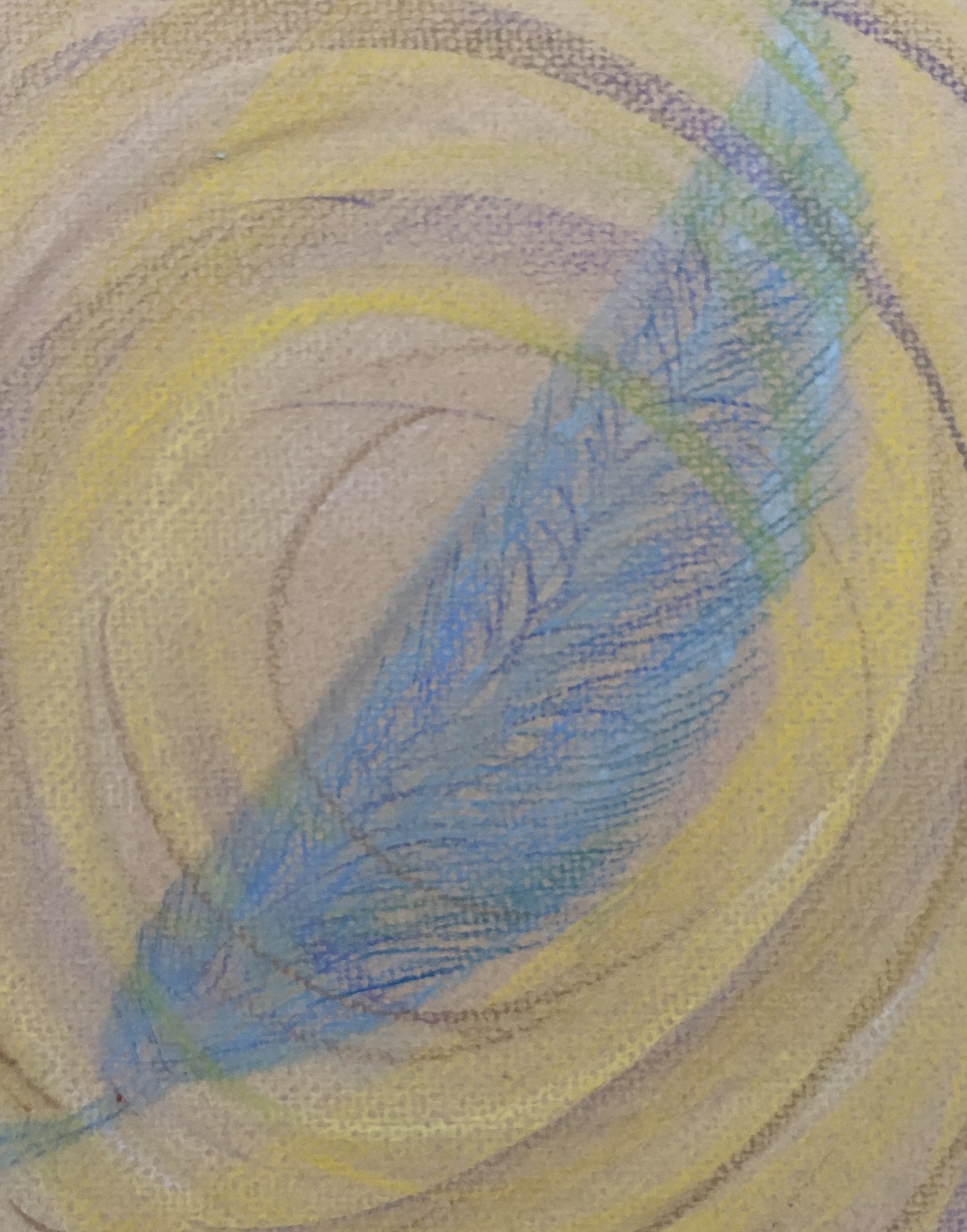 オリジナす羽のパステル画